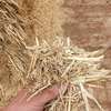 20 x wheaten straw header trailed 8x4x3 bales