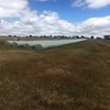 800 x Silage 500kg 5x4 Round Bales