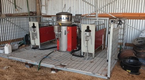 Under Auction - CALF FEEDER, ROBOT, LELY