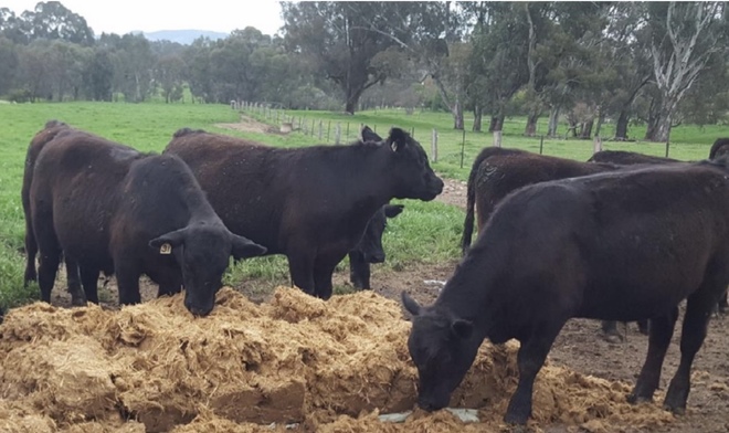 Castlegate James Brewers Select *750kg Ensiled Bales* Available in Vic, SA and Southern NSW.