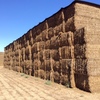 90mt Vetch Hay 550-600kg 8x4x3 Bales (New Season)