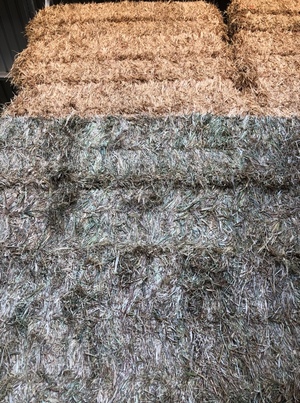 200mt Wheaten Hay 8x4x3 Bales