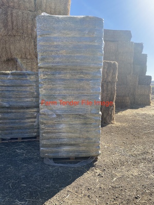 Small squares Teff Grass, Ryegrass ,Pea Hay and  and Oaten hay  