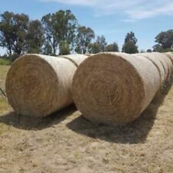 5x4 Oat and Rye round bales