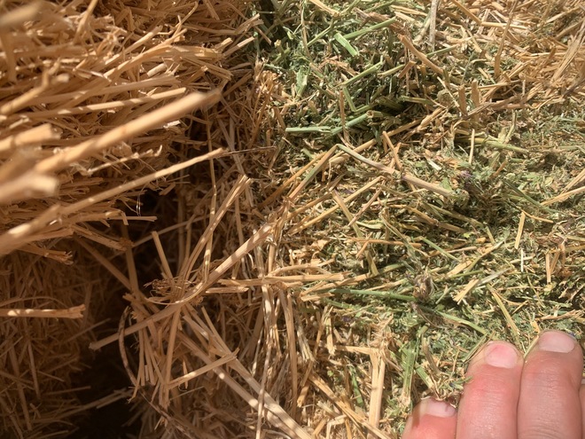 Lucerne Hay - 2nd Cut Irrigated