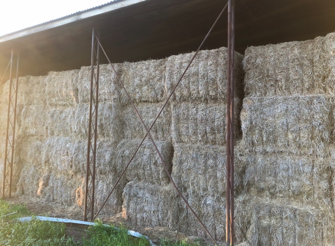 80 x Medic Hay 8x4x3 