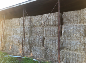 80 x Medic Hay 8x4x3 