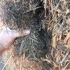 Vetch Hay 8x4x3  Bales