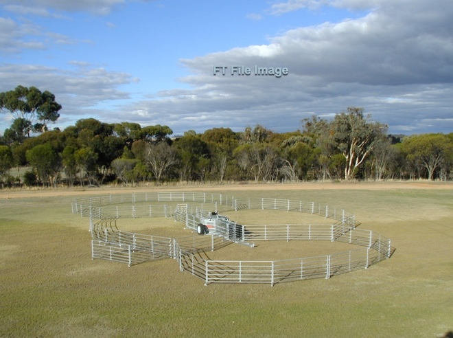 McDougal Weldments Portable Sheep Yards