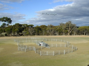 McDougal Weldments Portable Sheep Yards