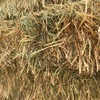 small hay bales