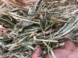Oaten Hay 8x3x3 Shedded