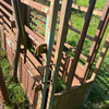 Warwick Cattle Crush