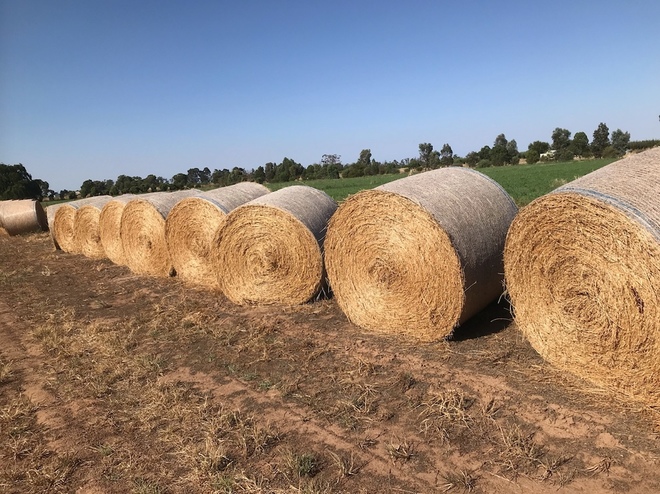 45 x Lucerne Hay 410kg 5x4 Bales