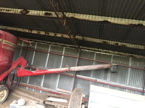 napier grasslands mixall