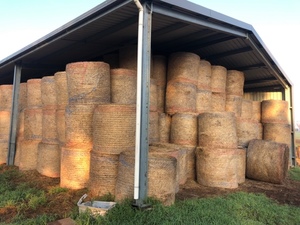 200 Pasture Hay 4x4 Round Bales