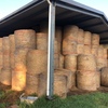 200 Pasture Hay 4x4 Round Bales