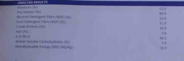 New Season A1 Pasture Hay in Round Bales