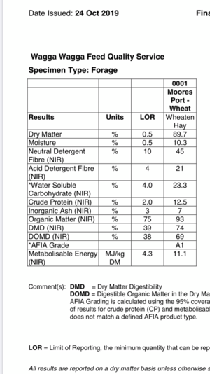 Wheaten Hay 1000 Bales
