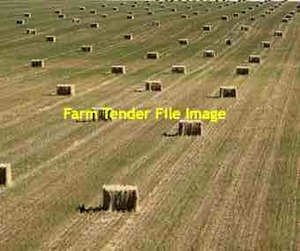 450mt Oaten Hay 640kg 8x4x3 Bales 2019