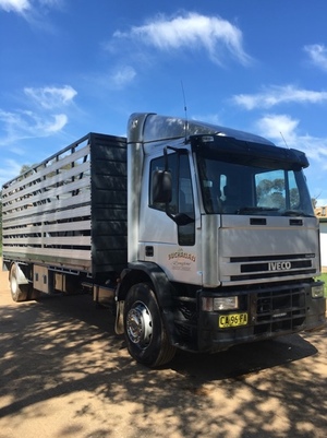 2004 Iveco Eurocargo ##PRICE REDUCED##