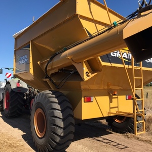 Grain Chaser 23 tonne Chaser Bin