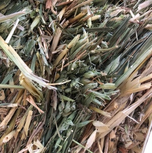 150mt Oaten Hay 8x4x3 Bales