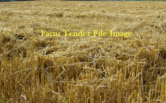 1000mt Wheaten Straw 8x4x3 Bales + Freight
