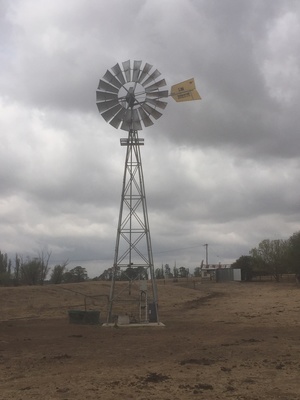 10 Ft Yellowtail Windmill