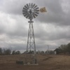 10 Ft Yellowtail Windmill