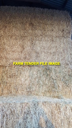 1350mt Pasture Hay 8x4x3 Bales