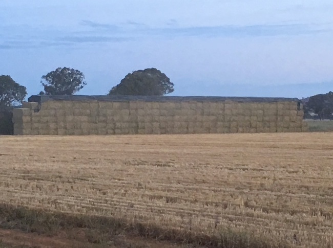 Wheaten and Barley Hay