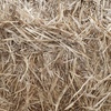 Wheaten Straw 8x4x3 Bales (Straw Walker Header Trails)