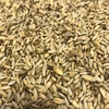 Cereal Rye For Sale