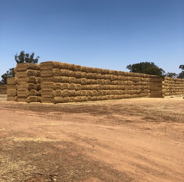 Wheaten straw $150/ton+GST