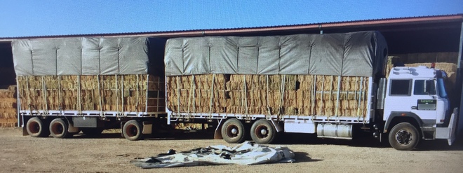 IVECO 4470 TRUCK AND TRAILER FOR SALE