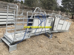 WANTED Hecton Sheep Handler