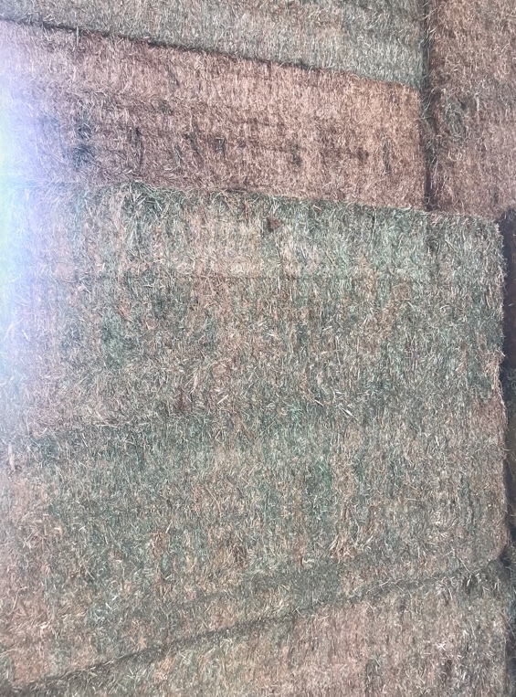 80mt Vetch Hay 650kg+ 8x4x3 Bales