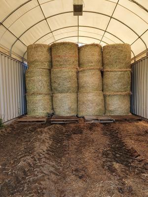 4x4 Grassy Lucerne Mix Rounds