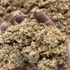 Brewers Grain 