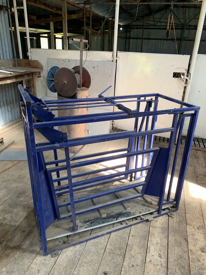 True test sheep weighing crate.