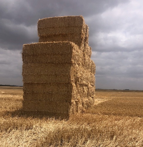 180/mt of Wheaten Straw