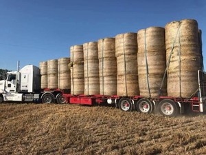 Oaten Round Rolls