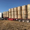 Oaten Round Rolls