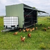 Automated Portable Chicken Caravans for Sale 300