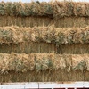 Oaten / rye small square bales
