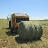 Hay For Sale Large Rounds