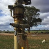 Trailco Travelling Irrigator