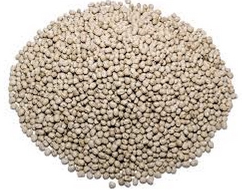 Wanted Narrow Leaf Lupins