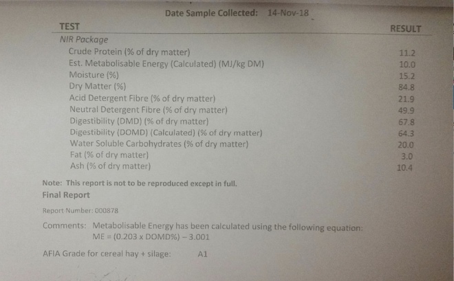 Wheaten Hay 8x4x3 - 40 x  625 KG Approx Bales Stacked 6 High  